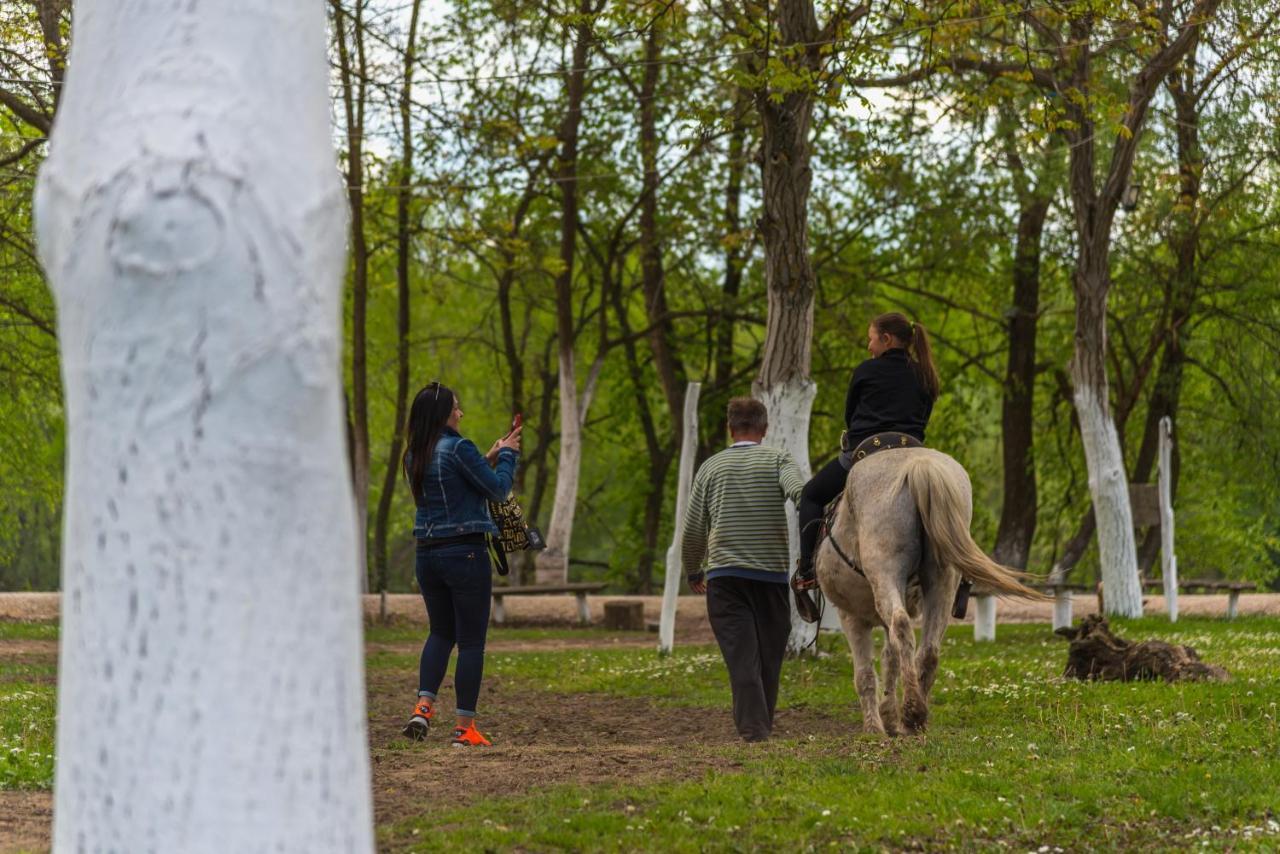 B&B Etno Village Suncana Reka Banja Koviljača Esterno foto
